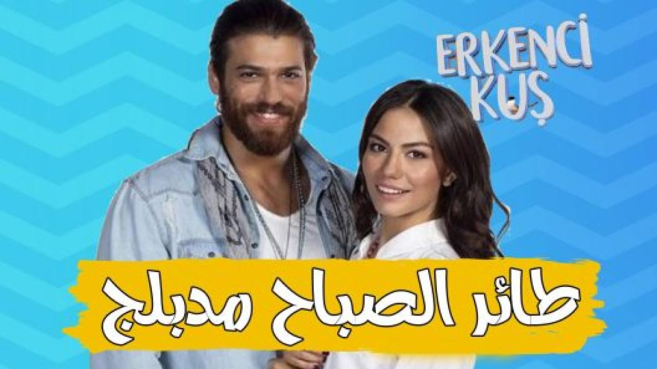 مسلسل طائر الصباح مدبلج HD